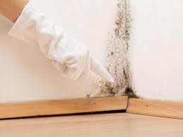 Mold Odor Removal Services in Eveleth, MN